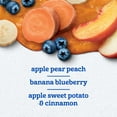 thumbnail image 3 of Gerber Toddler Pouch Variety Pack, 3.5 oz., 12 ct., 3 of 15
