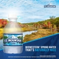 thumbnail image 2 of Ice Mountain 100% Natural Spring Water 8 fl. oz., 48 pk., 2 of 10