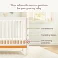 thumbnail image 3 of Little Seeds Clover 4-in-1 Convertible Crib, Choose Color, 3 of 10
