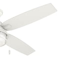 thumbnail image 4 of Hunter 52" Ocala Fresh White Outdoor Damp Rated Ceiling Fan with LED Light Kit and Pull Chain, 4 of 13