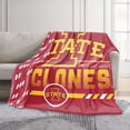 thumbnail image 2 of Logo Brands Iowa State Cyclones 60"x70" Super Plush Blanket, 2 of 7