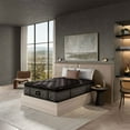 thumbnail image 4 of Beautyrest Black Series Two Mattress (Available in Firm, Medium Pillow-Top and Plush Pillow-Top), 4 of 10
