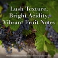 thumbnail image 4 of Robert Mondavi Winery Napa Valley Cabernet Sauvignon, 750 ml, 4 of 6