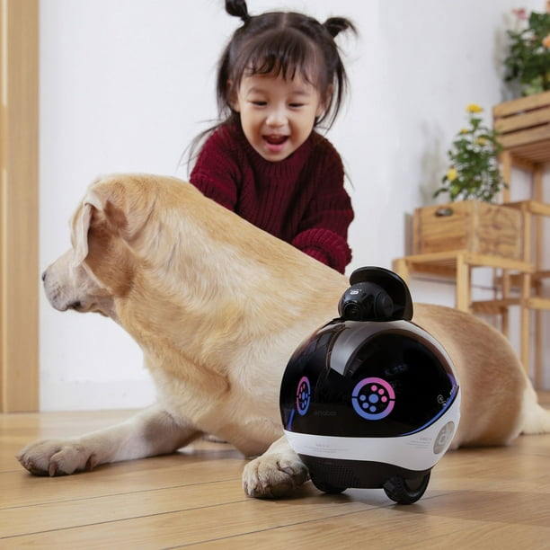 Enabot EBO X Home Robot - Samsclub.com