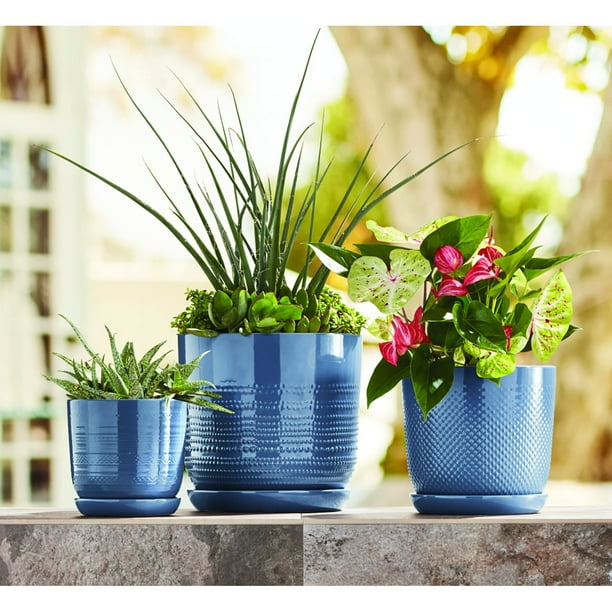 Member's Mark 3-Pack Ceramic Planters with Saucers - Samsclub.com