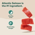 thumbnail image 3 of Jinx Salmon, Sweet Potato & Carrot Recipe, GF, Dry Dog Food, 23.5 lbs., 3 of 11