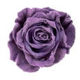 thumbnail image 1 of Member's Mark Farm Fresh Velvet Roses, choose color and stem count, 1 of 7
