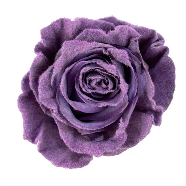 Member's Mark Farm Fresh Velvet Roses, choose color and stem count