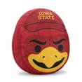 thumbnail image 3 of Logo Brands Iowa State Cyclones Puff Pillow, 3 of 5