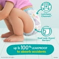 thumbnail image 4 of Pampers Easy Ups Training Pants Underwear, Sizes 2T-6T, 4 of 10