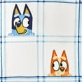 thumbnail image 3 of Adult Licensed Silk Touch Throw, 60" x 70", 3 of 5