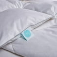 thumbnail image 3 of Martha Stewart 240 Thread Count White Goose Feather and Down Comforter, Assorted Sizes, 3 of 5