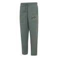 thumbnail image 1 of Baltimore Ravens Adult Pant, 1 of 5