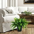 thumbnail image 4 of Faux 26" Fern and Eucalyptus Mix in Black Plastic Pot, 4 of 7