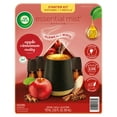 thumbnail image 1 of Air Wick Essential Mist Cordless Oil Diffuser, Apple Cinnamon Medley, 1 diffuser + 3 refills, 1 of 8