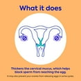 thumbnail image 5 of Opill Estrogen Free Birth Control, 3 Month, 5 of 6