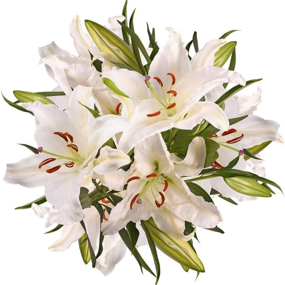 Member's Mark Super Select Oriental Lily, 5 stems