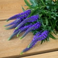 thumbnail image 4 of Member's Mark Veronica Flower, 100 stems, choose color, 4 of 4