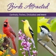 thumbnail image 6 of Member's Mark Supreme Blend Wild Bird Food 40 lbs., 6 of 6