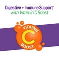 thumbnail image 5 of Culturelle Probiotic Prebiotic & Vitamin C Gummies, 120 ct., 5 of 8