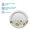 thumbnail image 4 of Dixie Ultra Heavy-Weight Pathways Paper Plates, 10.12", 500 ct., 4 of 8