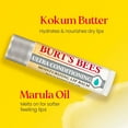 thumbnail image 7 of Burt's Bees 100% Natural Origin Beeswax Moisturizing Lip Balm 8 pk., 7 of 9