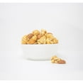 thumbnail image 6 of Island Princess Macadamia Popcorn Crunch 16 oz., 6 of 6