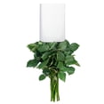thumbnail image 7 of Member's Mark Illusion Roses, choose color and stem count:- 50, Light Blue, 7 of 8