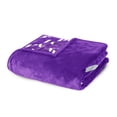 thumbnail image 4 of Logo Brands Abilene Christian Wildcats 60"x70" Super Plush Blanket, 4 of 7