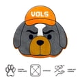 thumbnail image 4 of Logo Brands Tennessee Volunteers Puff Pillow, 4 of 5