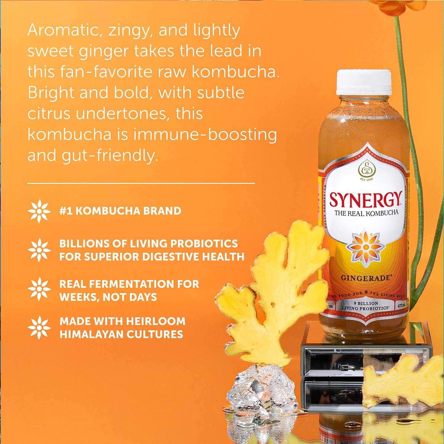 Synergy The Real Kombucha Gingerade, 16 fl. oz., 6 pk. - Samsclub.com