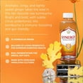 thumbnail image 5 of Synergy The Real Kombucha Gingerade, 16 fl. oz., 6 pk., 5 of 5