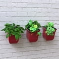 thumbnail image 4 of Mayne Valencia 8" Wall Mount Planter, Set of 3, 4 of 10