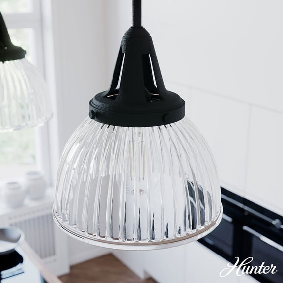Hunter Cypress Grove with Clear Holophane Glass 1 Light Pendant Ceiling Light Fixture