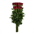thumbnail image 4 of Member's Mark Ecuadorian Premium Roses, choose color variety and stem count, 4 of 6