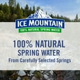 thumbnail image 5 of Ice Mountain 100% Natural Spring Water 1 L, 15 pk., 5 of 10