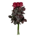 thumbnail image 5 of Member's Mark Farm Fresh Velvet Roses, choose color and stem count, 5 of 8