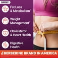 thumbnail image 4 of Ultra Berberine Max 120ct, 4 of 9