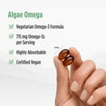 thumbnail image 4 of Nordic Naturals Algae Omega 715 mg Softgels, 80 ct., 4 of 9