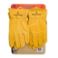 thumbnail image 1 of Plainsman Premium Cabretta Tan Leather Gloves, 2 Pairs, 1 of 5
