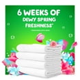 thumbnail image 3 of Gain Flings! Liquid Laundry Detergent Pacs, Spring Daydream (152 ct.), 3 of 8