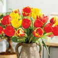 thumbnail image 5 of Member's Mark Tulip Spring Blend Dormant Bulbs, 45pk, 5 of 9