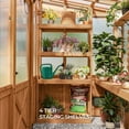 thumbnail image 9 of Backyard Discovery 9' x 6' Modern Cedar Greenhouse, 9 of 15