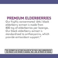 thumbnail image 7 of Sambucus Elderberry Throat Lozenges with Vitamin C and Zinc, 120 ct., 7 of 11