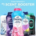 thumbnail image 10 of Downy Odor Fighter In-Wash Laundry Scent Booster Beads, April Fresh, 26.3 oz., 10 of 10