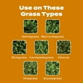 thumbnail image 6 of Scotts Winterguard Fall Weed & Feed - 45.1 lbs., 6 of 9