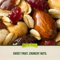 thumbnail image 5 of Nature Valley Chewy Trail Mix Fruit & Nut Granola Bars, 48 ct., 5 of 10
