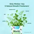 thumbnail image 6 of Minties Fresh Bites 15oz, 6 of 9