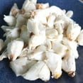 thumbnail image 3 of Ocean Legacy Wild Caught Premium Lump Crab Meat, 1 lb., 3 of 4