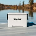 thumbnail image 3 of Igloo 25 QT Marine Ultra Ice Chest Cooler, White and Gray, 3 of 21